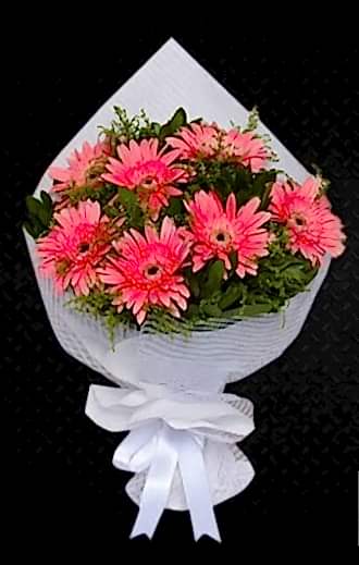 Pembe Gerbera Buketi